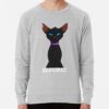 ssrcolightweight sweatshirtmensheather greyfrontsquare productx1000 bgf8f8f8 12 - Warrior Cats Merch
